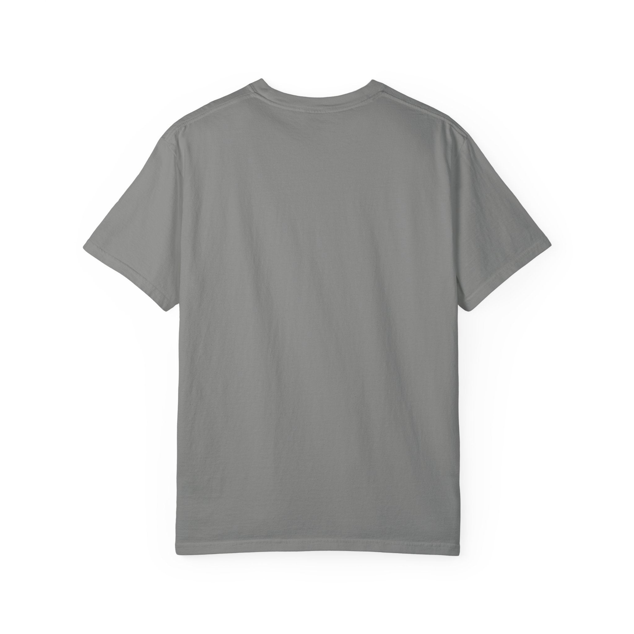 Iron Sharpens Iron T-shirt