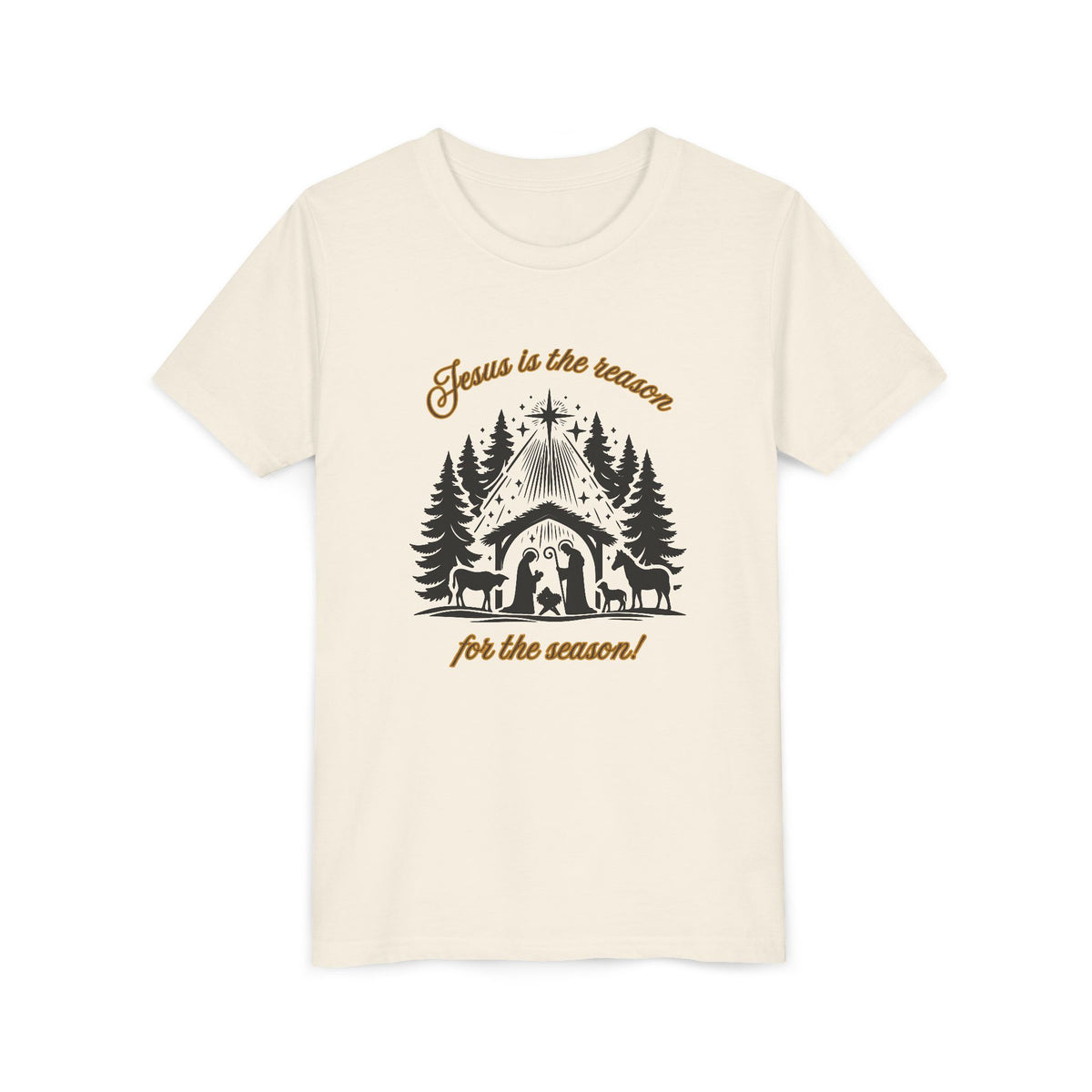 "Jesus Is the Reason..." Youth T-Shirt