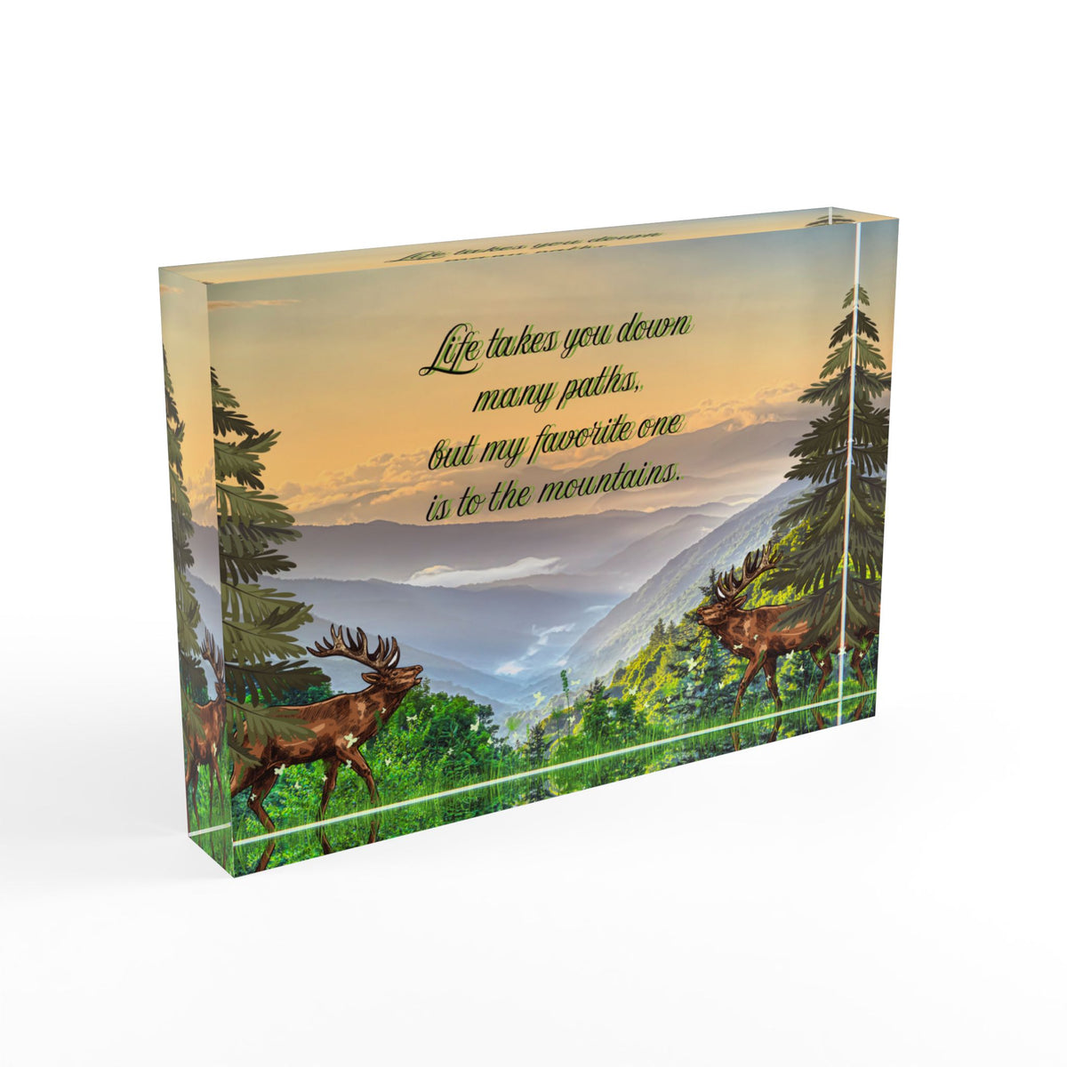 Mountain Path Photo Block