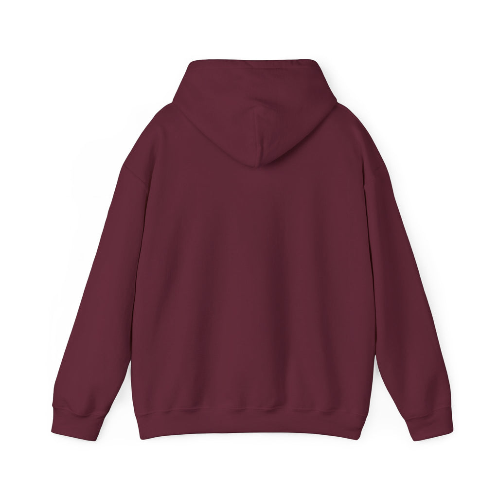 Found Jesus Hoodie
