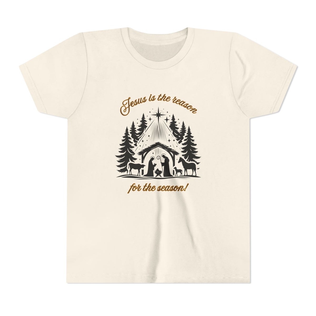 "Jesus Is the Reason..." Youth T-Shirt