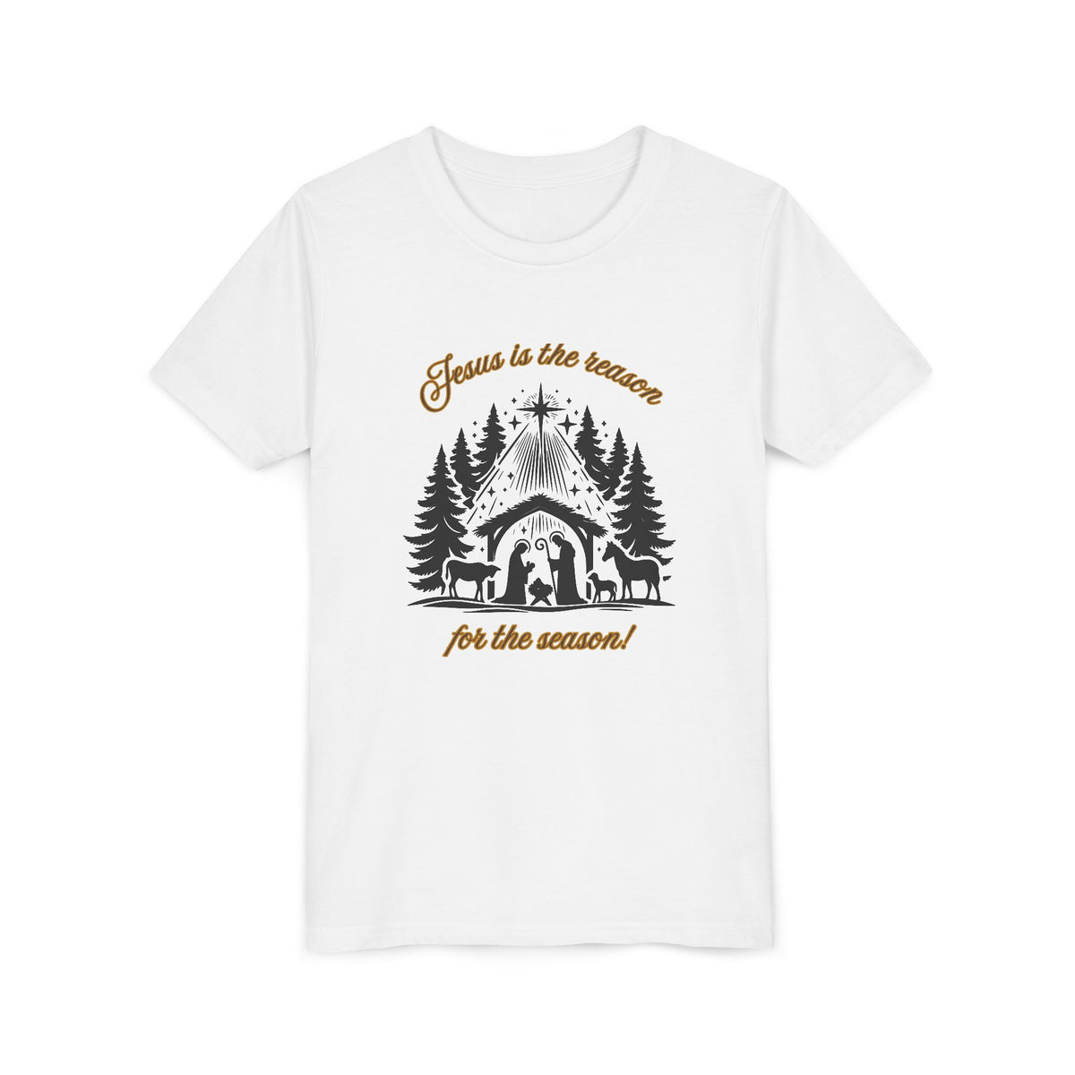 "Jesus Is the Reason..." Youth T-Shirt