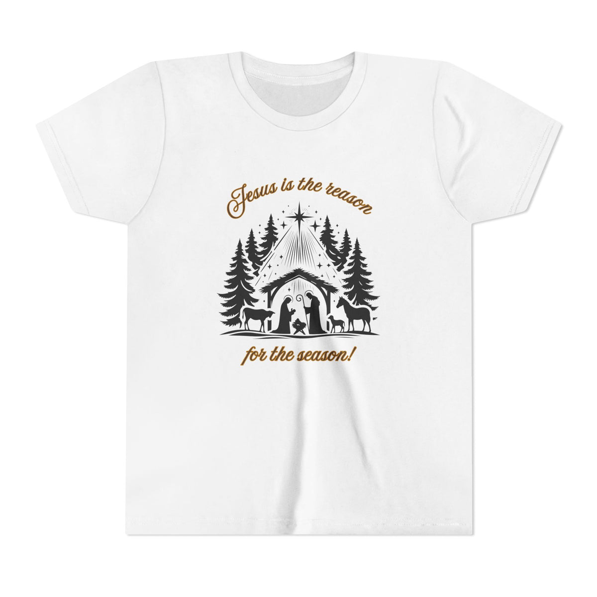 "Jesus Is the Reason..." Youth T-Shirt